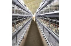 China Durable H Frame Broiler Chicken Cage Automatic Hopper Trolley Feeding supplier