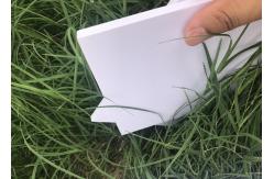 China Presentation Closed Cell PVC Foam Board Sound Insulation 5mm Thinckness supplier