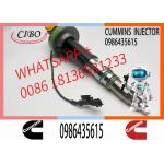 Engineering Machinery QSK19 Truck Engine System Accessories 0986435615 Diesel Fuel Injector