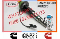China Engineering Machinery QSK19 Truck Engine System Accessories 0986435615 Diesel Fuel Injector supplier