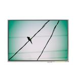 LTD121EA8K 12.1 inch 1024*768 LCD Screen Display Panel for sale