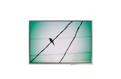 China LTD121EA8K 12.1 inch 1024*768 LCD Screen Display Panel supplier