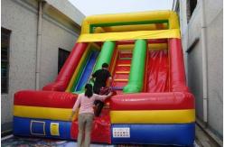 China Inflatble Slide / inflatable double lane slide 0.55mm PVC Tarpaulin supplier