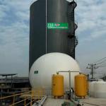 Plastic Biogas Tank Biogas Holding Tank In Biogas Plant for sale