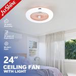Copper Motor 220V Bedroom Ceiling Fan Light 24 Inch With Box Fan for sale