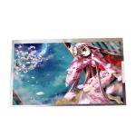 Original 9.0 inch LCD display C090EAN04.1 high brightness for AUO for sale