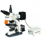 Trinocular Five Wave Fluorescence Microscope With Fine Focus A16.1101 for sale