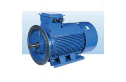 China Surface PMSM Variable Frequency Adjustable Speed AC Motor ODM OEM supplier