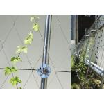 Architectural Surface Stainless Steel Wire Rope Mesh Green Plant Climbing Wall Netting for sale