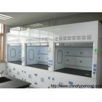 High Standard FRP Lab Fume Hood in Laboratory Furniture From China Lab Factory for sale