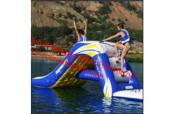 China Freefall 6 Inflatable Water Slide Aquatic Jungle Joe Water Slide supplier