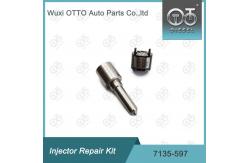 China 7135-597 Delphi Injector Repair Kit Nozzle-CVA Kit Nozzle-Valve Kit supplier