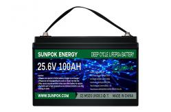 China 100Ah 24 Volt Lithium Ion Deep Cycle Battery Rechargeable For Solar supplier