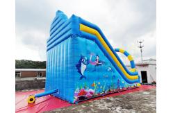 China Ocean World Dual Lane Commercial Inflatable Water Slide supplier