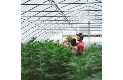 China 100% Shade Net Tunnel Agriculture Black Film Light Deprivation Greenhouse Blackout supplier