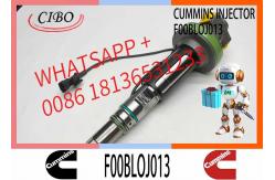 China Fuel Injector Assembly 4955526 Y431KO5199 4928104 F0OBLOJ014 F00BLOJ013 For Qsk19 Engine supplier