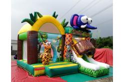 China Safari Park Inflatable Bouncy Castles Digital Printing Combi Slide Bouncer supplier