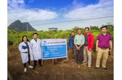 China Acid Protease manufacturer