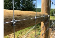 China Deer Fixed Knot Fence 1.2m Hinge Joint Cattle Wire Mesh Field Fence supplier