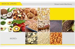 China Walnut Oil / Olive Oil Processing Machine Electric Oil Press Machine Automatic Operation supplier