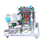 New Energy Car Anatomical Model Equipment By COROLLA for sale