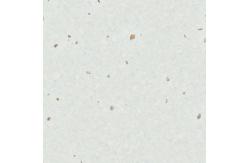 China 3.0mm Thickness Homogeneous Flooring Sustainable High Stain Resistance supplier