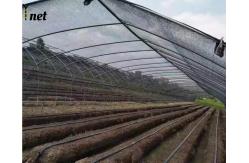 China Agriculture Greenhouse Screening Fabric UV Resistant Garden Shade Mesh 25m 30m Length supplier