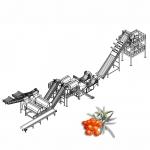 Juice Processing Machine Juice Manufacturing Plant For Seabuckthorn for sale