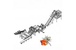 China Juice Processing Machine Juice Manufacturing Plant For Seabuckthorn supplier