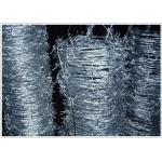 BWG 12 Double Strand Barbed Wire Hot Dip Galvanized Beautiful Use