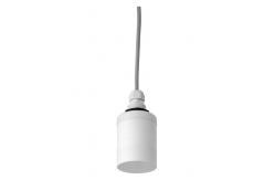 China Endress+Hauser FDU91-RG2AA Ultrasonic measurement Time-of-Flight Prosonic supplier