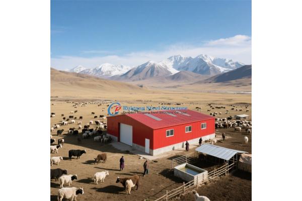 Industrial Workshop Office Stadium: Durable Blasting Steel Hangar Solution