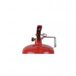 6L 9L10L 12L Foam Fire Extinguisher With Safety Valve 1 Year Warranty for sale