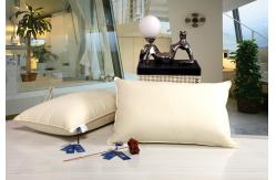 China Healthy Home Tectiles Duck Down Pillows supplier