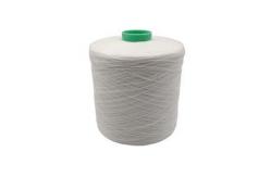 China HIM NIM Polyester Filament Thread 150 denier 300D for Sewing supplier