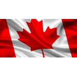 3x5 Canada National  Polyester Single sided Flag for sale