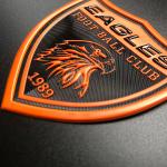Hot Stamping Embossed TPU Badges Transfer Label For Garment for sale