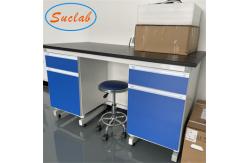 China Practical Wall Bench Laboratory Acid Resistant Multipurpose Antirust supplier