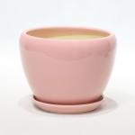 Easy To Clean Ceramic Pots For Plants Durable And Stylish Options