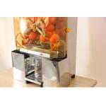 120W / 250W Automatic Orange Juicer Machine For Fruit And Vegetable Squeezer