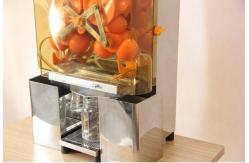 China 120W / 250W Automatic Orange Juicer Machine For Fruit And Vegetable Squeezer supplier