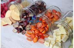 China Home Use Food Freeze Dryer Machine Built In Cold Trap supplier