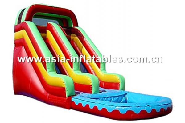 Giant Inflatable Water Slide, Inflatable Slide On Sale