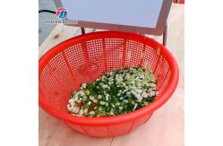 China 0.375KW Vegetable Processing Machine Desktop Leeks Cutter supplier