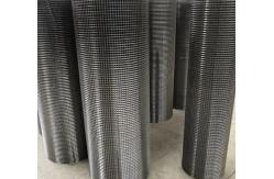 China Hot Dipped Galvanised Welded Wire Mesh Panel / Welded Wire Netting 1/4 Inch supplier