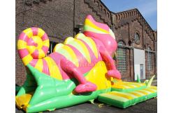 China Customized Quadruple Stitching Inflatable Bounce Slide For Festival Activity supplier