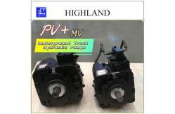 China Improved Efficiency Hydraulic Piston Pumps With PV22 MV23 Model supplier