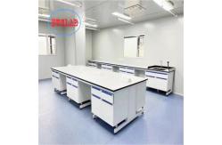 China Customizable Chemistry Lab Furniture with Safety Function Acceptable OEM/ODM supplier
