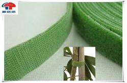 China Green Double Sided Hook And Loop Tape , Sticky hook loop tape custom printed supplier