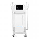 13Telsa Electronic Muscle Stimulate Fitness Slimming RF Hiemt Slimminging Machine for sale